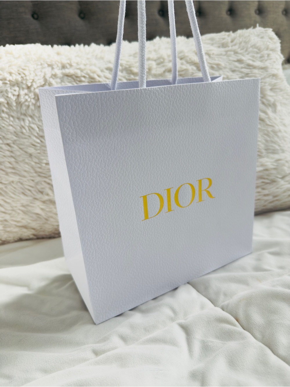 Dior Shopping Bag White & Gold 9.75" x 9.25" x 4.75" Gift Bag New